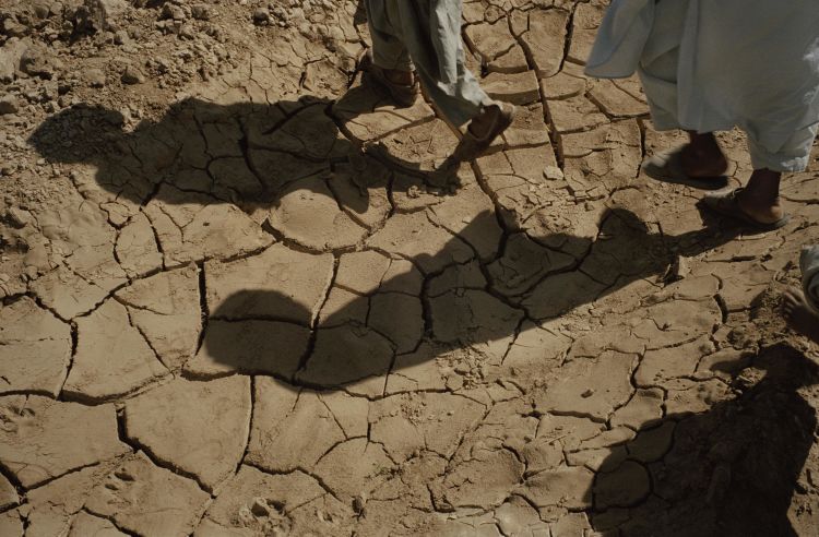 Droughts and Deficits — The Impact of Water Scarcity on Economic Growth