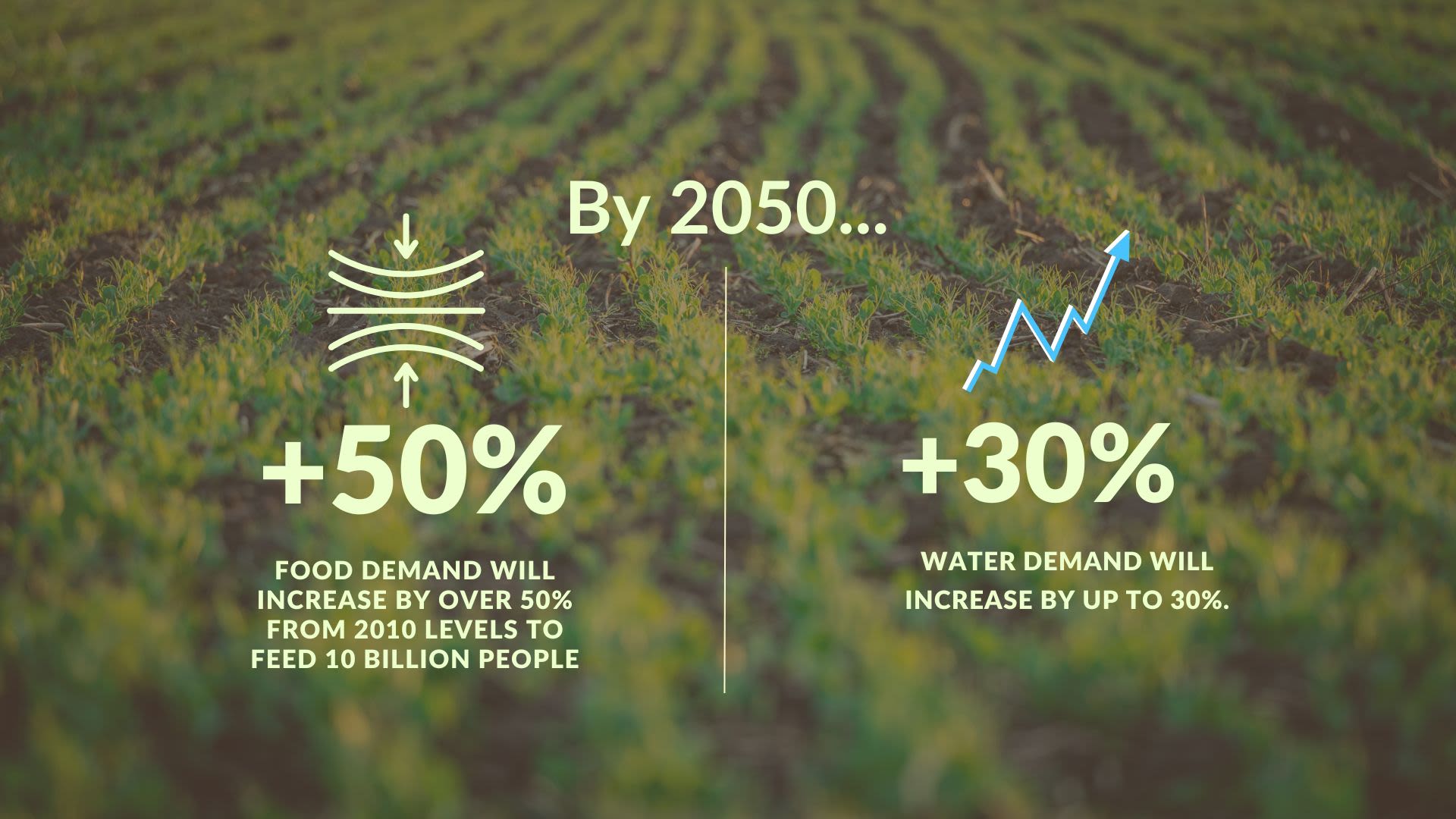 Transforming Lives Through Climate-Resilient Irrigation